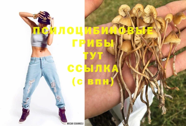 амф Волосово